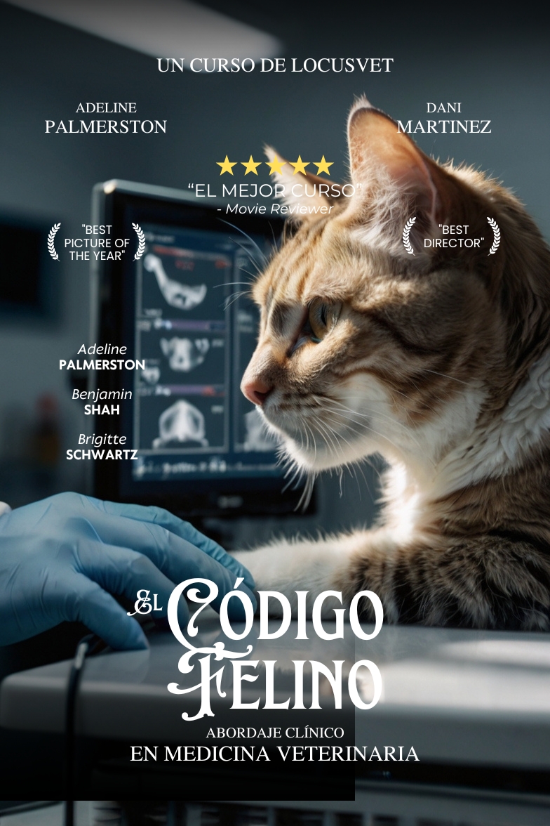 Código Felino: Abordaje Clínico En Medicina Veterinaria