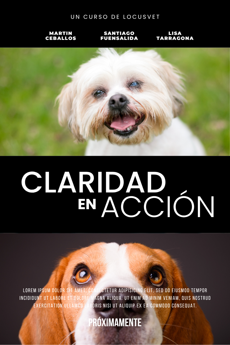 Claridad En Acción