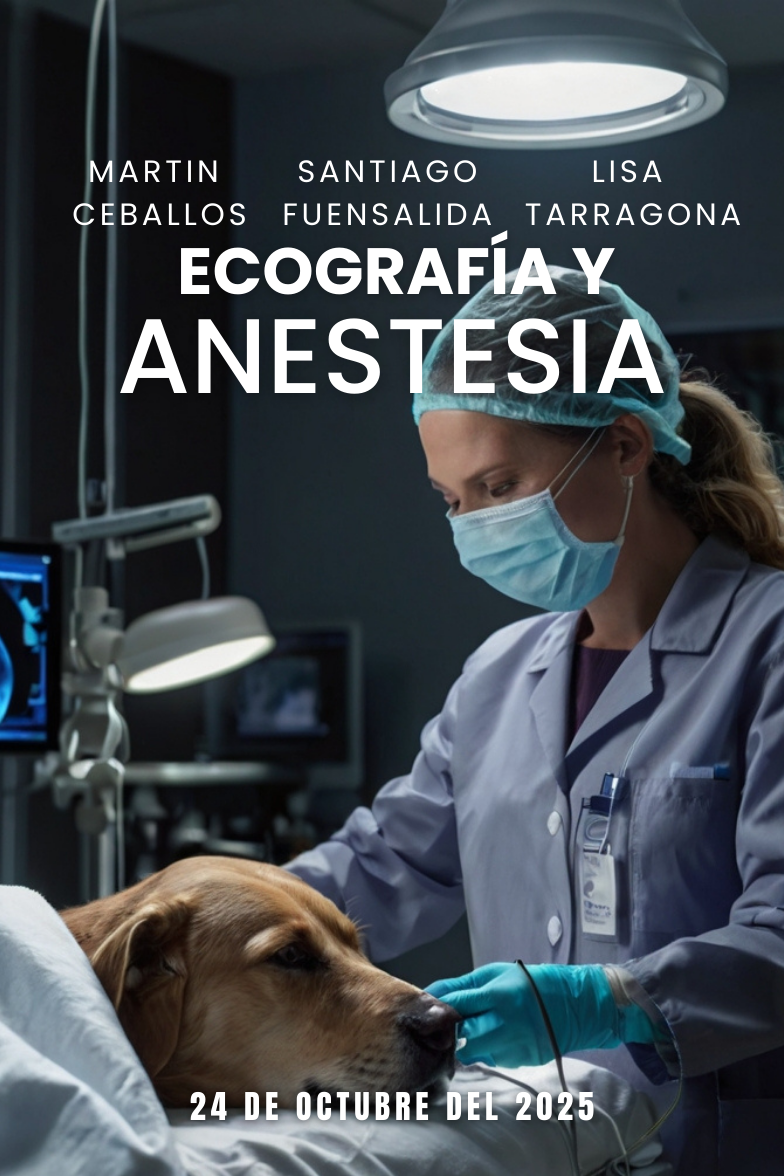 Ecografía y Anestesia: Una Visión Clara para Procedimientos Seguros