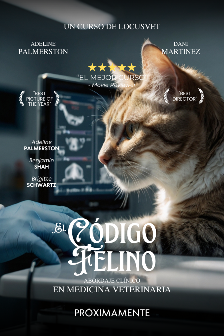Código Felino: Abordaje Clínico En Medicina Veterinaria