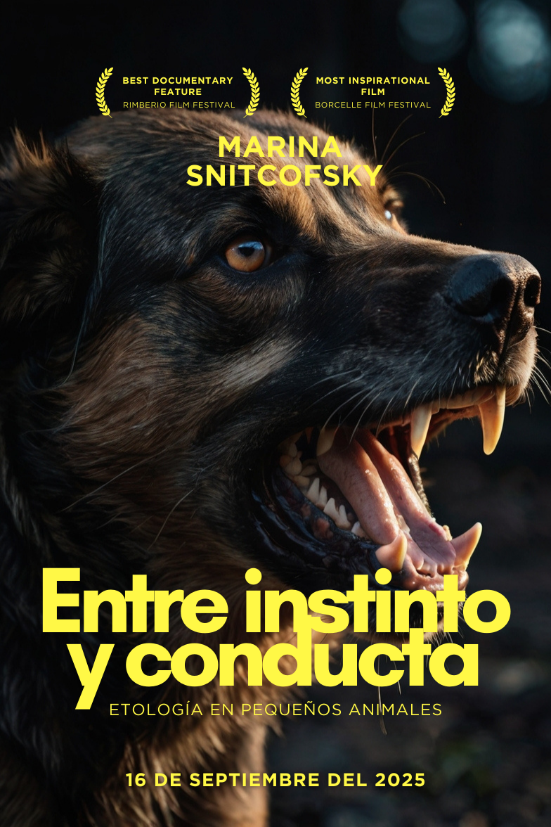 Entre Instinto y Conducta: Curso de Etología en Pequeños Animales