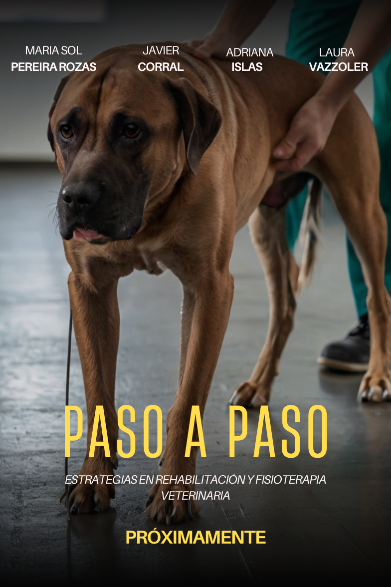 Paso A Paso: Estrategias En Rehabilitación Y Fisioterapia Veterinaria