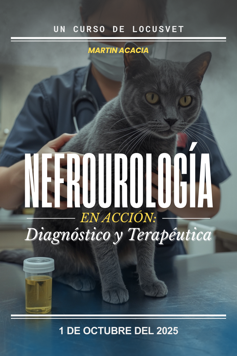 Nefrourología en Acción: Diagnóstico y Terapéutica