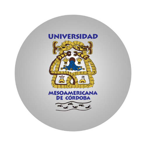 Universidad Meso