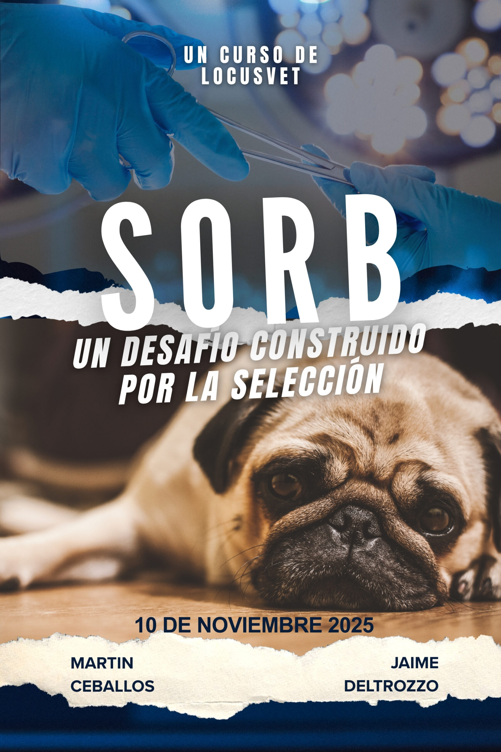 SORB: Un desafío construido por la selección
