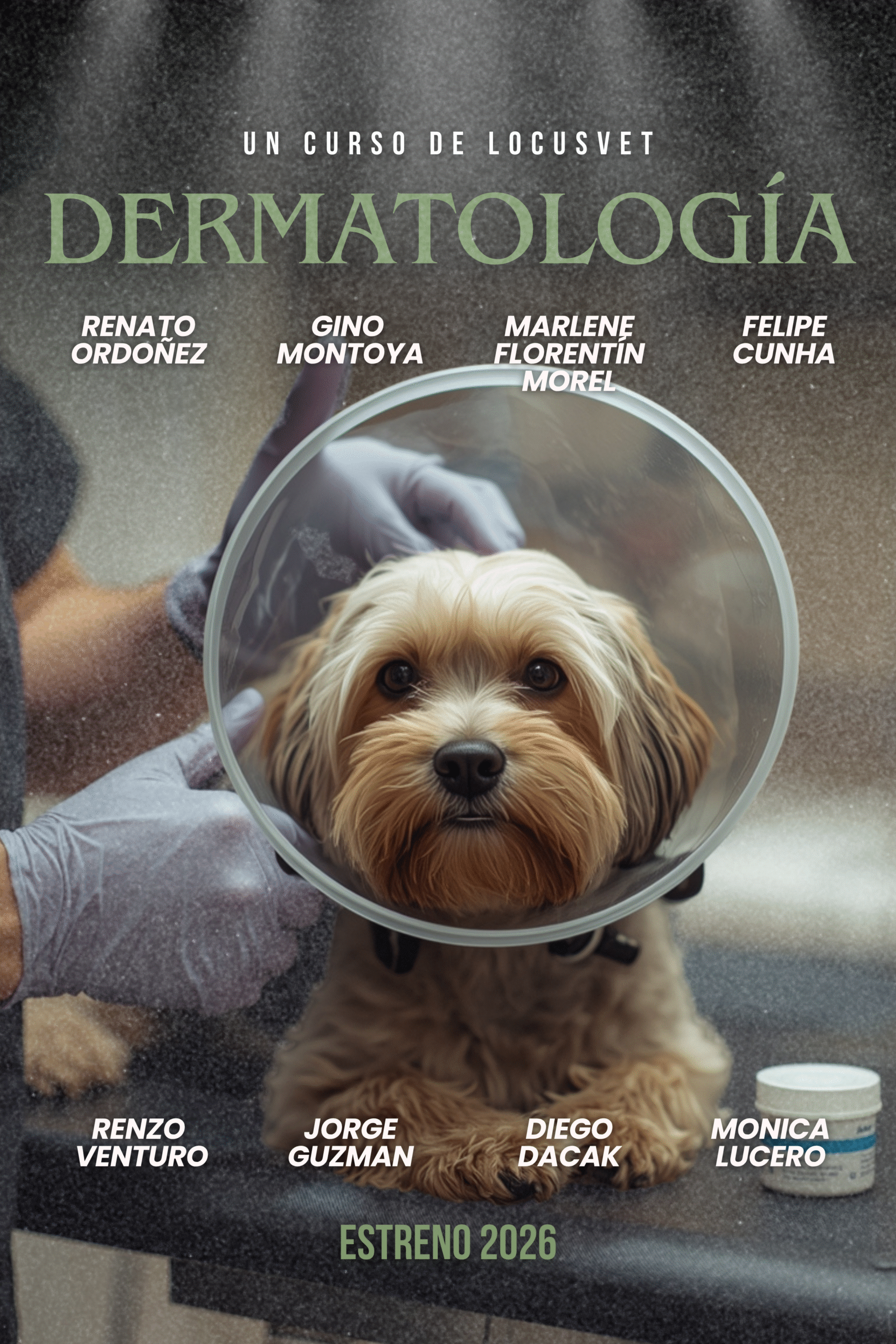 Piel en Alerta: Del Examen Clínico al Diagnóstico Dermatológico