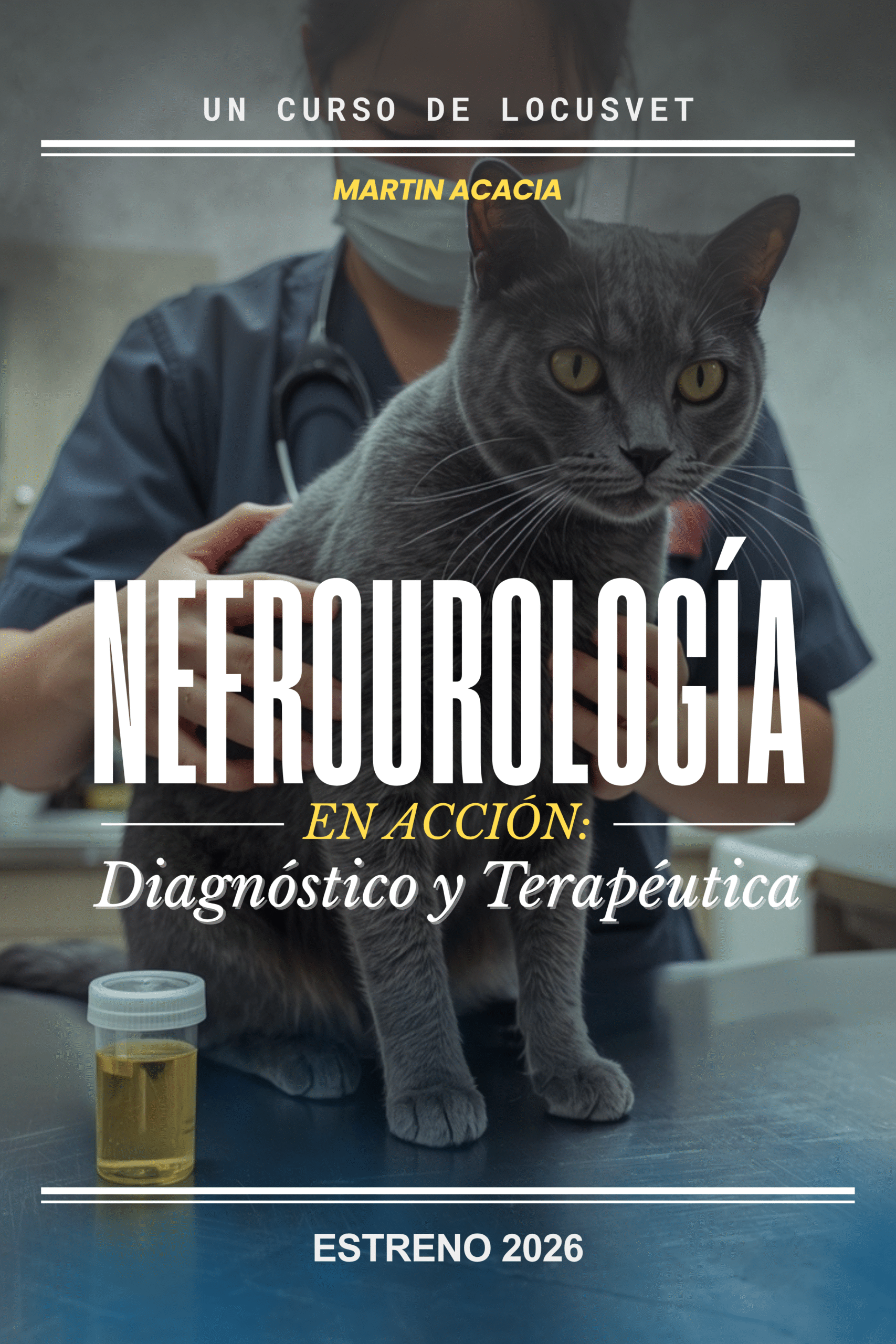 Nefrourología en Acción: Diagnóstico y Terapéutica