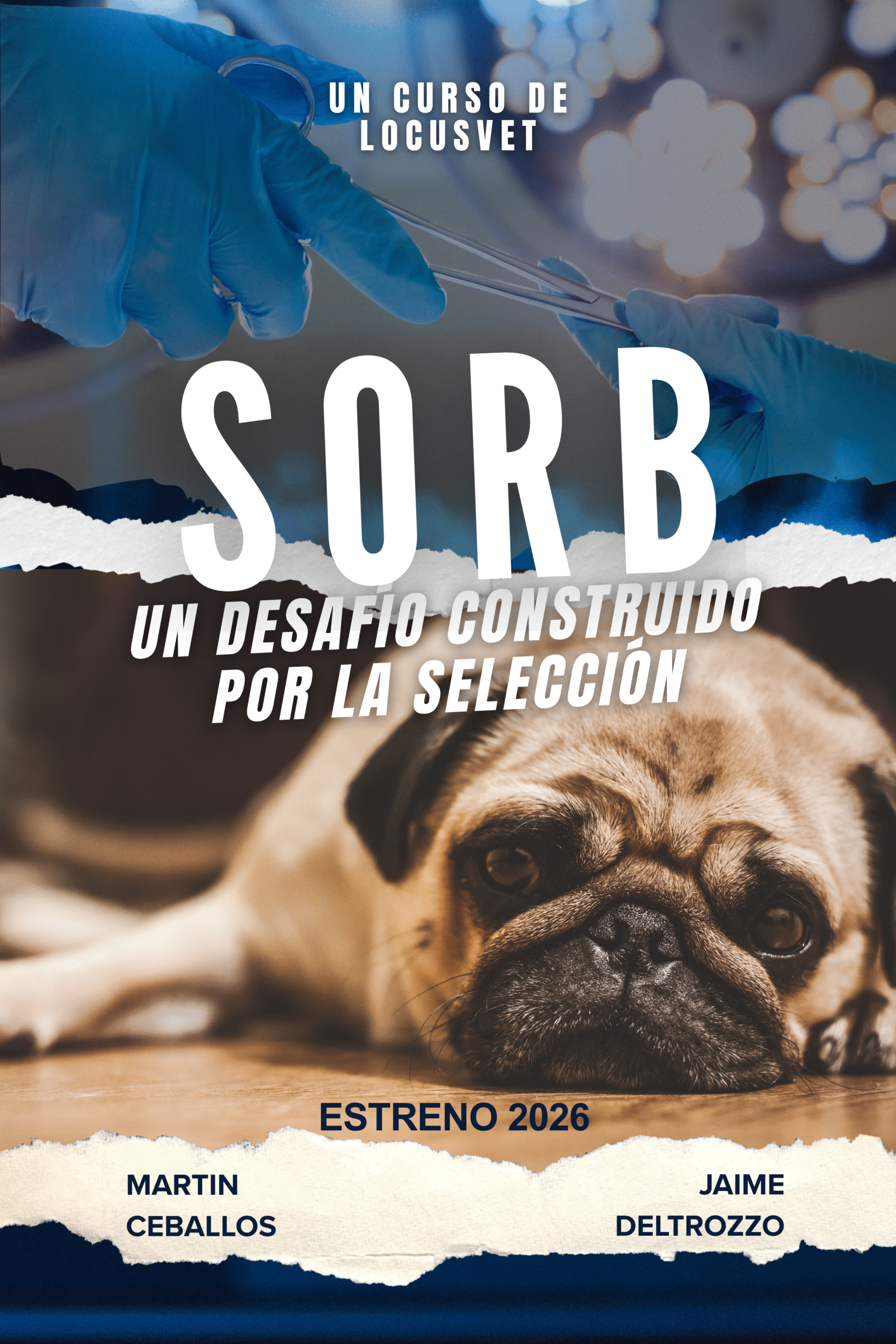 SORB: Un desafío construido por la selección