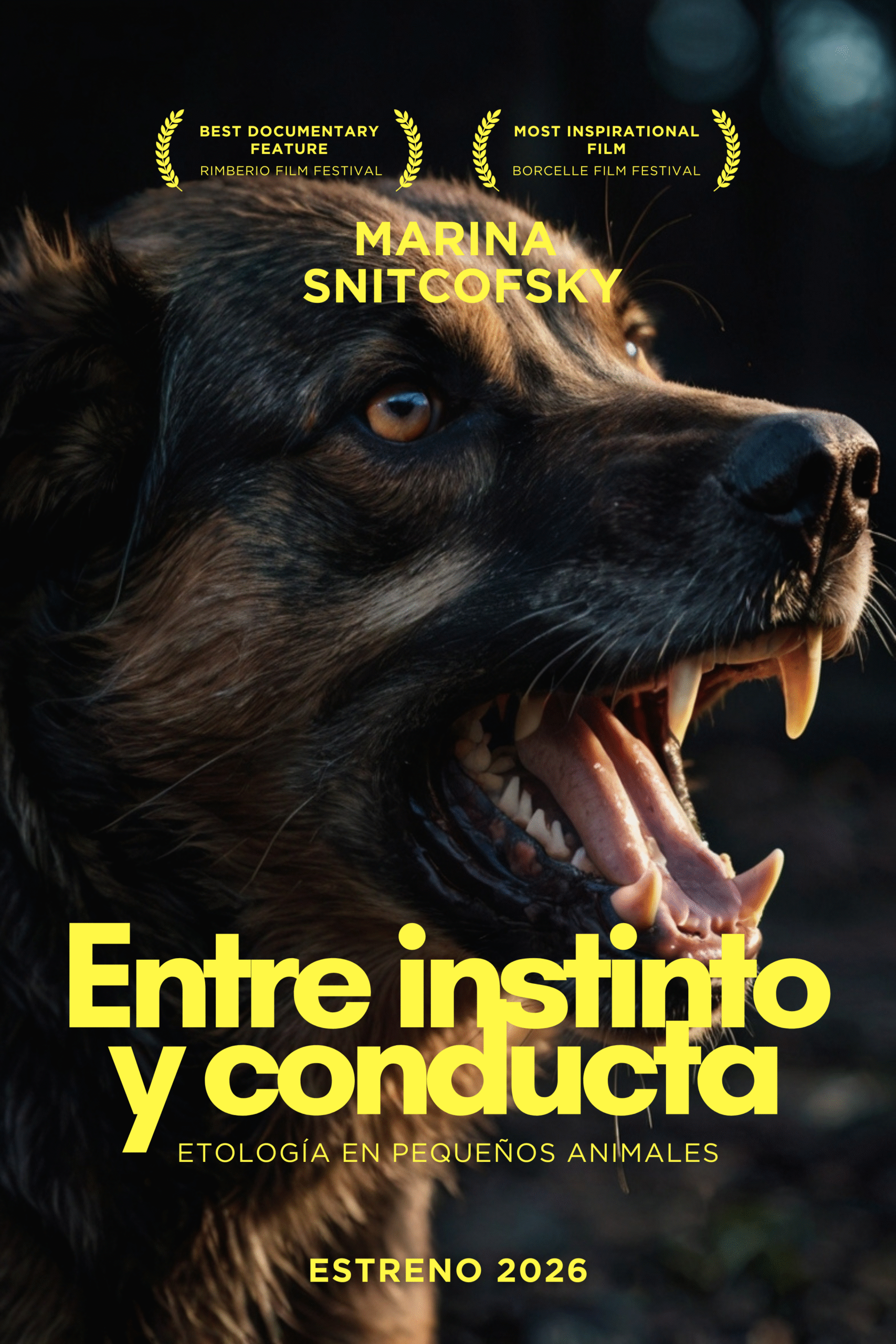 Entre Instinto Y Conducta: Curso De Etología En Pequeños Animales
