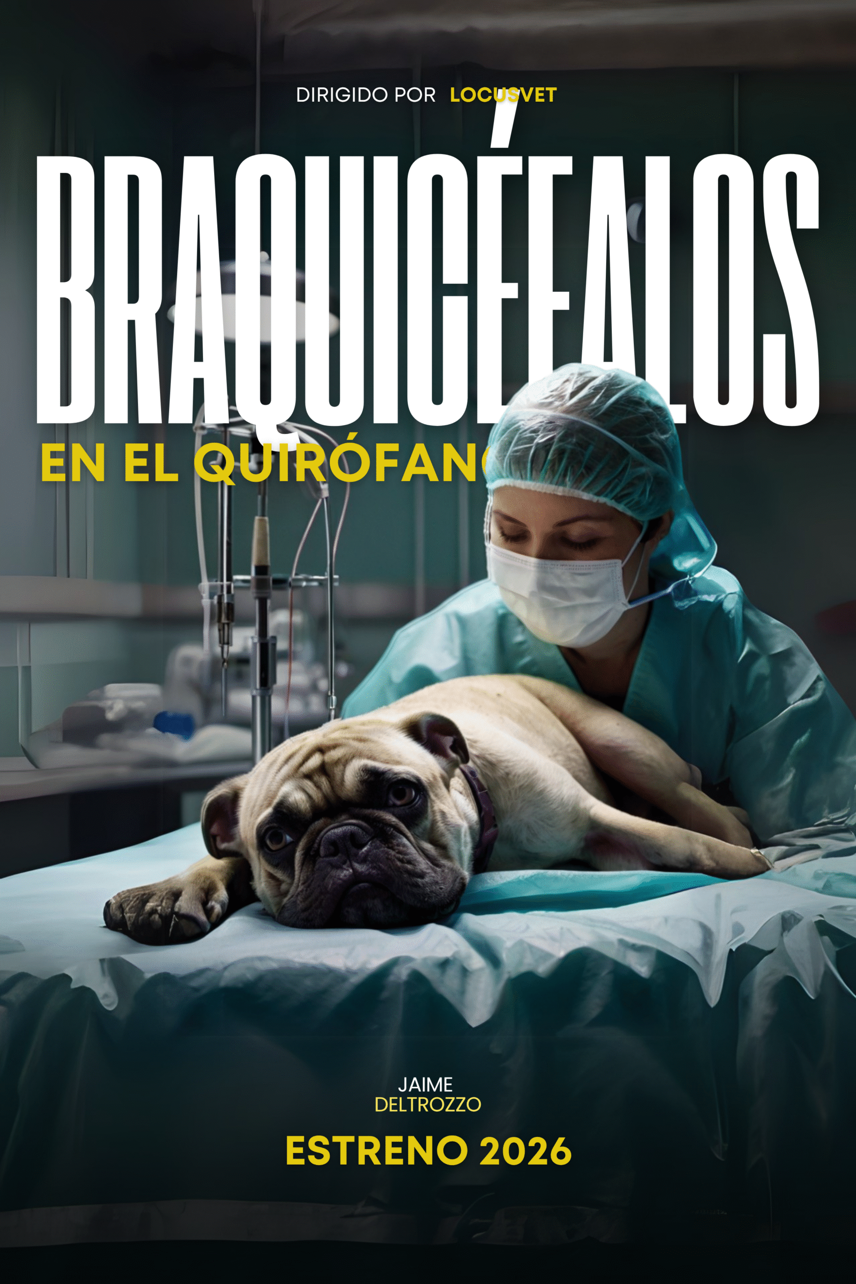 Braquicéfalos En El Quirófano: Estrategias Y Técnicas Frecuentes