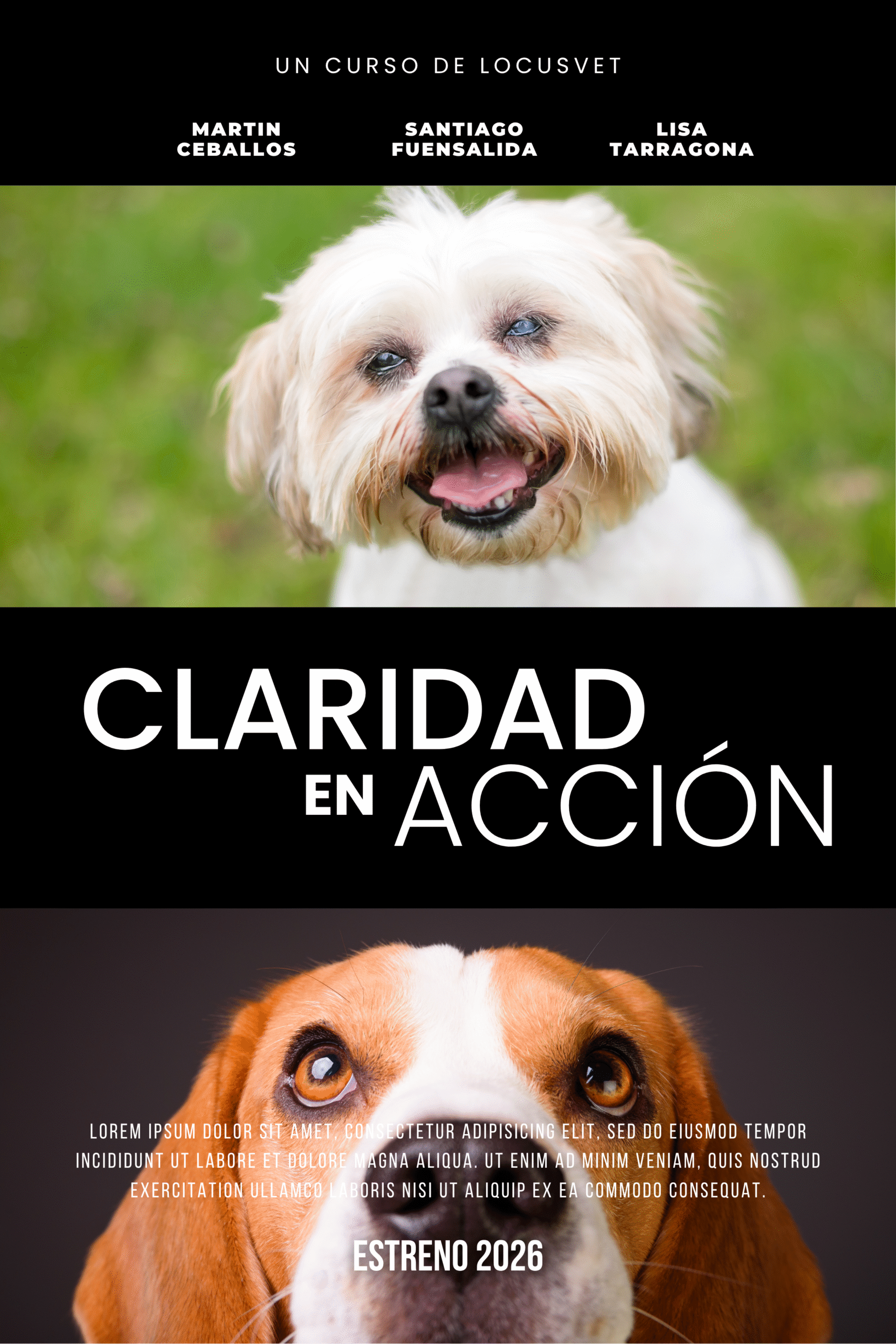Claridad En Acción: Oftalmología Veterinaria